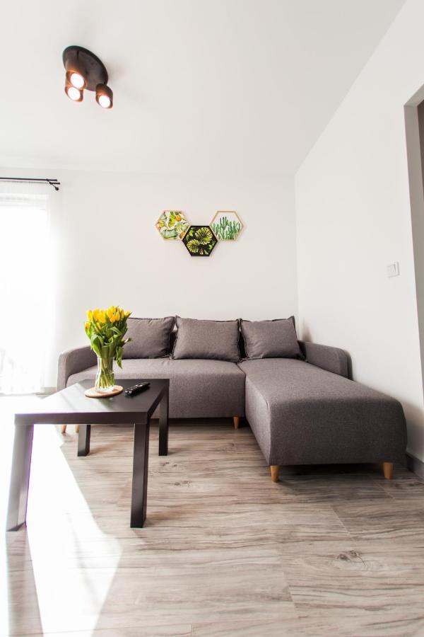Sloneczna Apartamenty カトヴィツェ エクステリア 写真